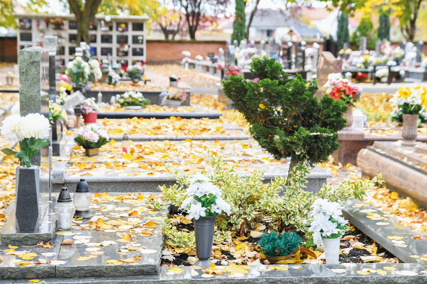 Segítő jelenlét a temetőknél