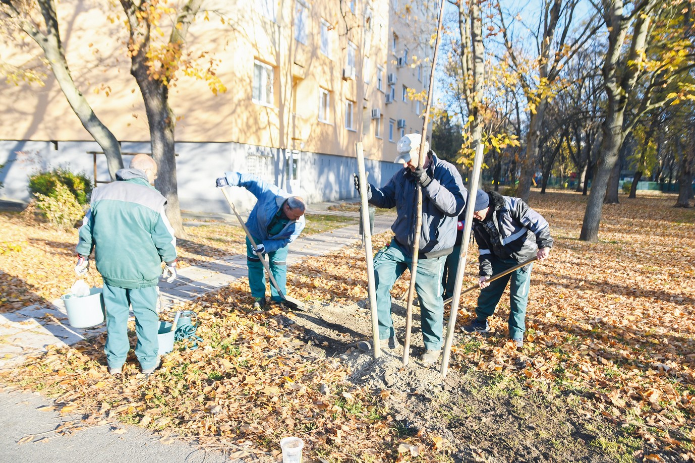 Tovább zöldül Tiszaújváros