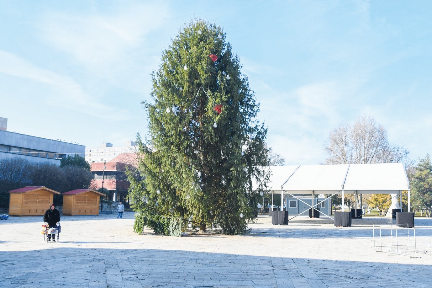 Fenyőfa és jégpálya