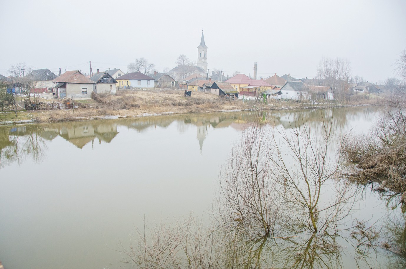 Fogyaszthatók a Sajó halai