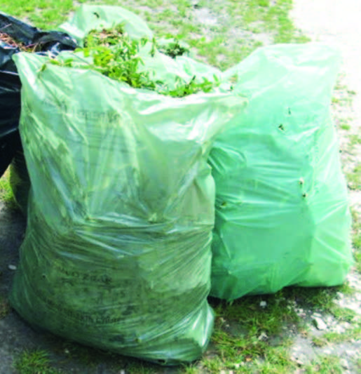 Zöldhulladék elszállítása