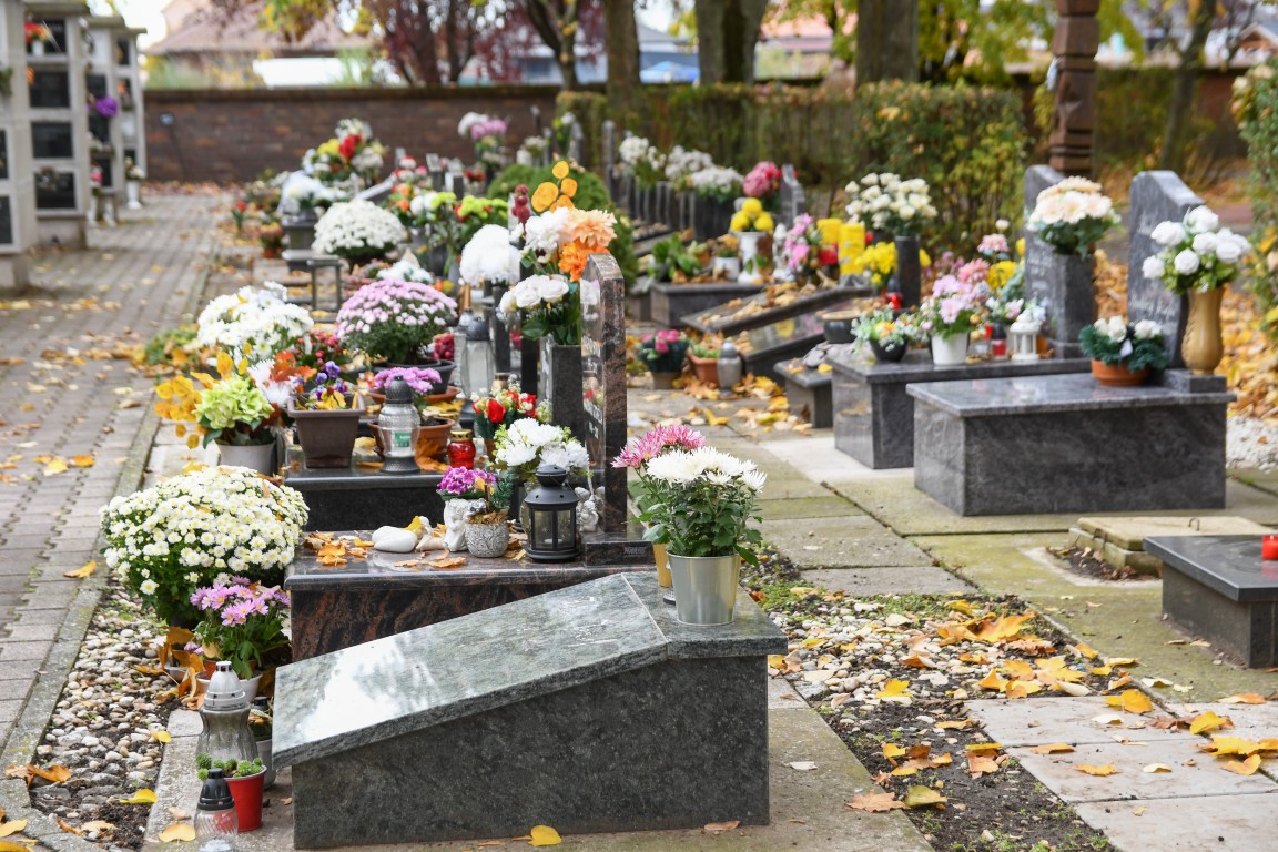Millió, millió krizantém