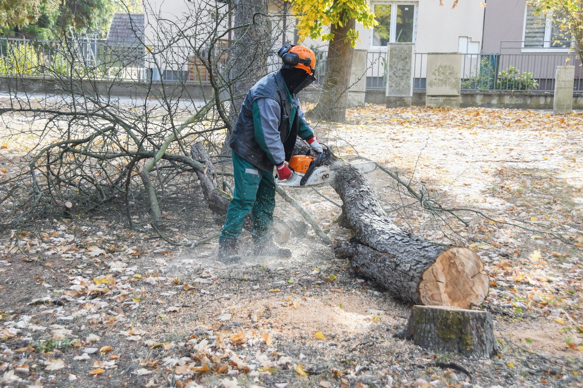 A kiszáradás színei